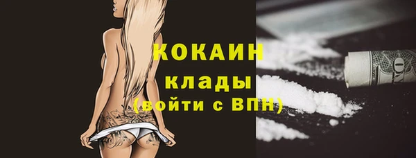 ПСИЛОЦИБИНОВЫЕ ГРИБЫ Козельск