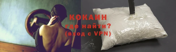ПСИЛОЦИБИНОВЫЕ ГРИБЫ Козельск