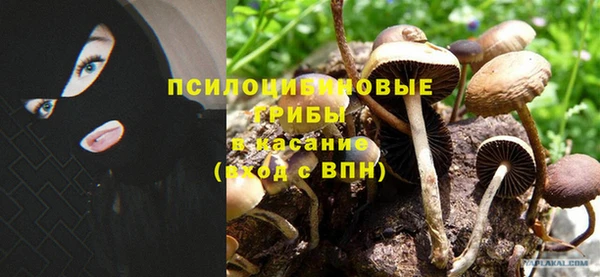 ПСИЛОЦИБИНОВЫЕ ГРИБЫ Козельск