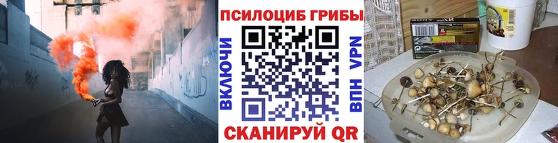 где купить наркоту  Родники  Псилоцибиновые грибы мицелий 