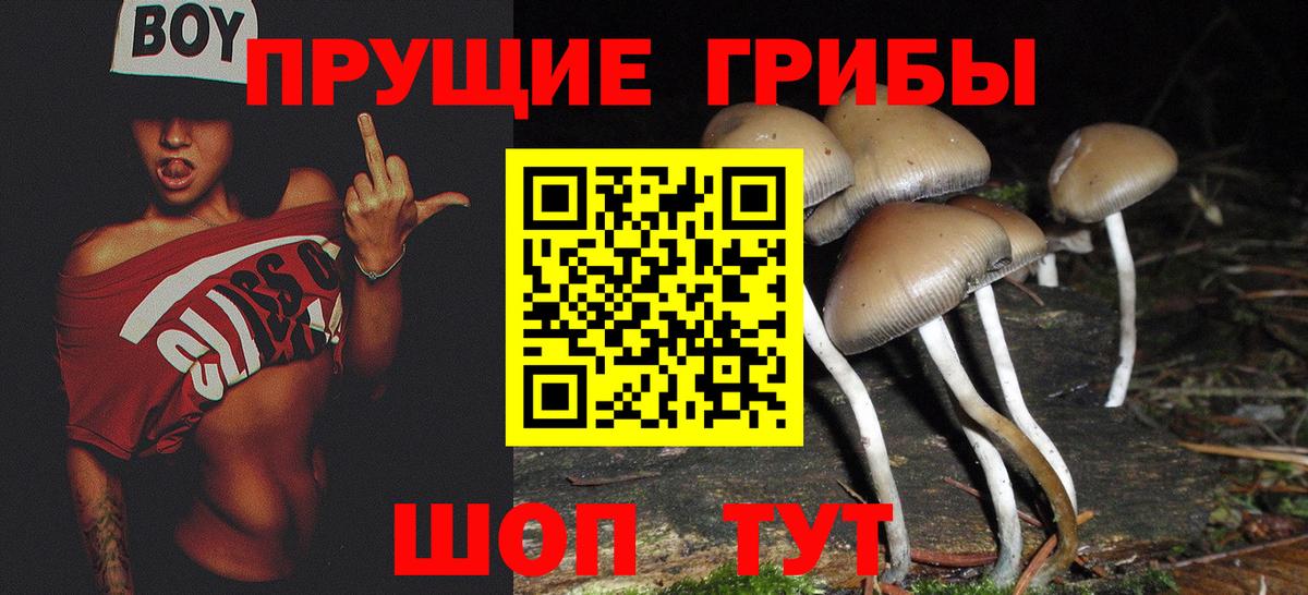 Галлюциногенные грибы ЛСД Родники
