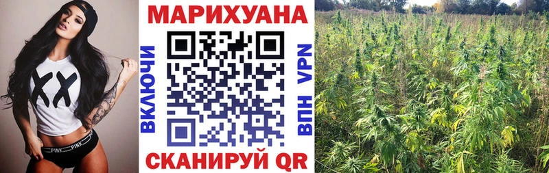Бошки марихуана семена  наркота  Родники 